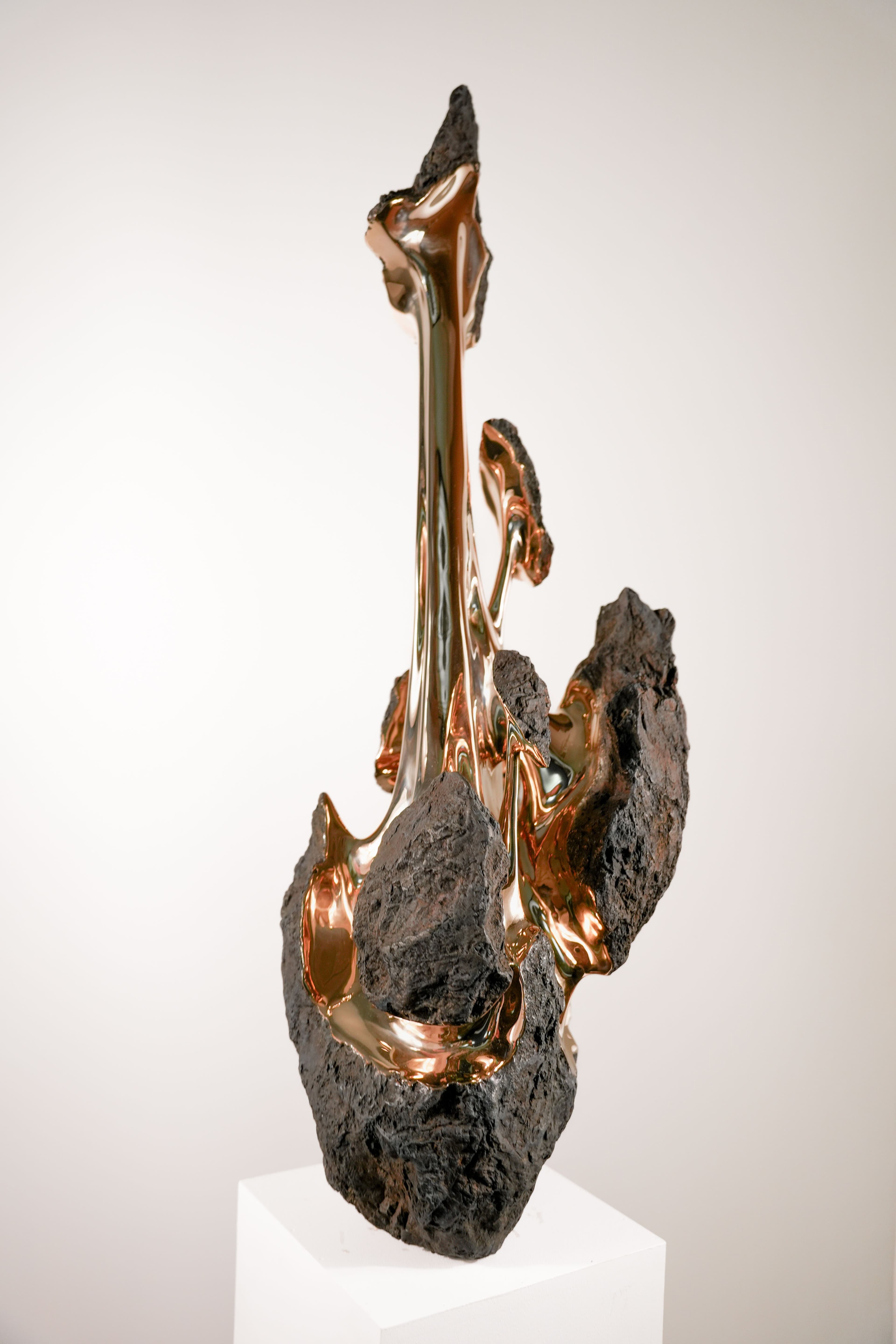 HYAKUTAKE - Romain Langlois