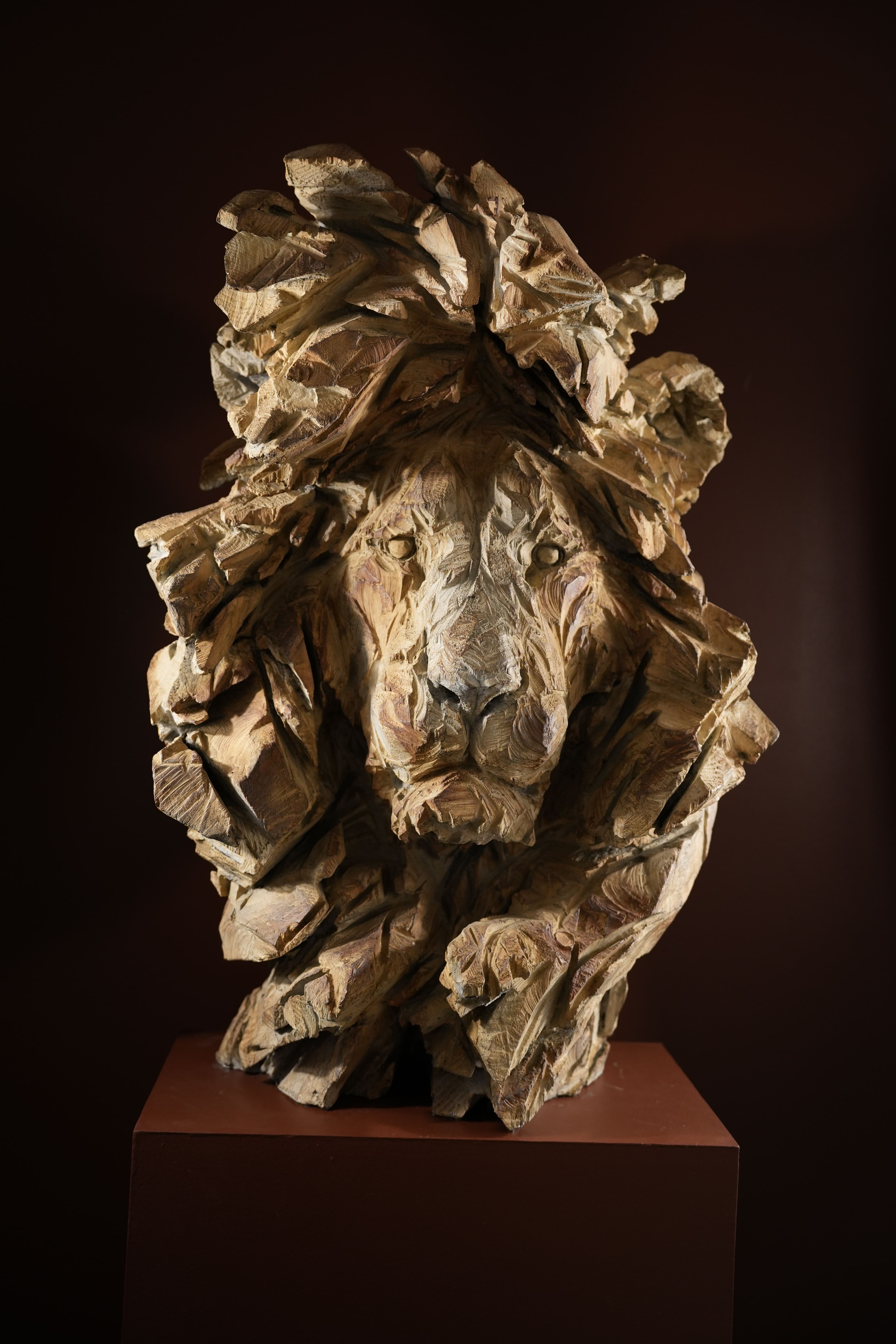 STORMY - Jurgen Lingl