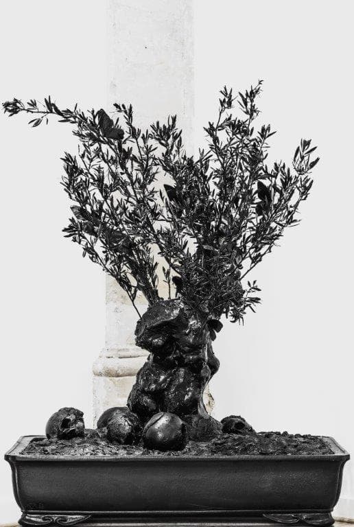 Black Skull Olive Tree - PHILIPPE PASQUA