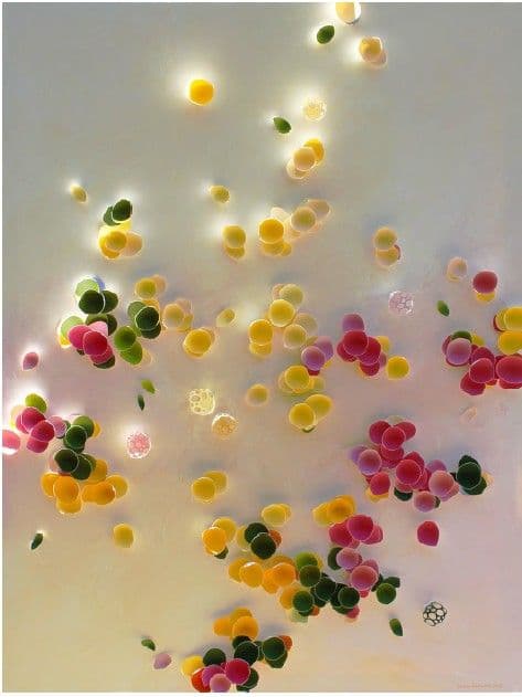 IN LIGHT'S EMBRACE II - LARISA SAFARYAN