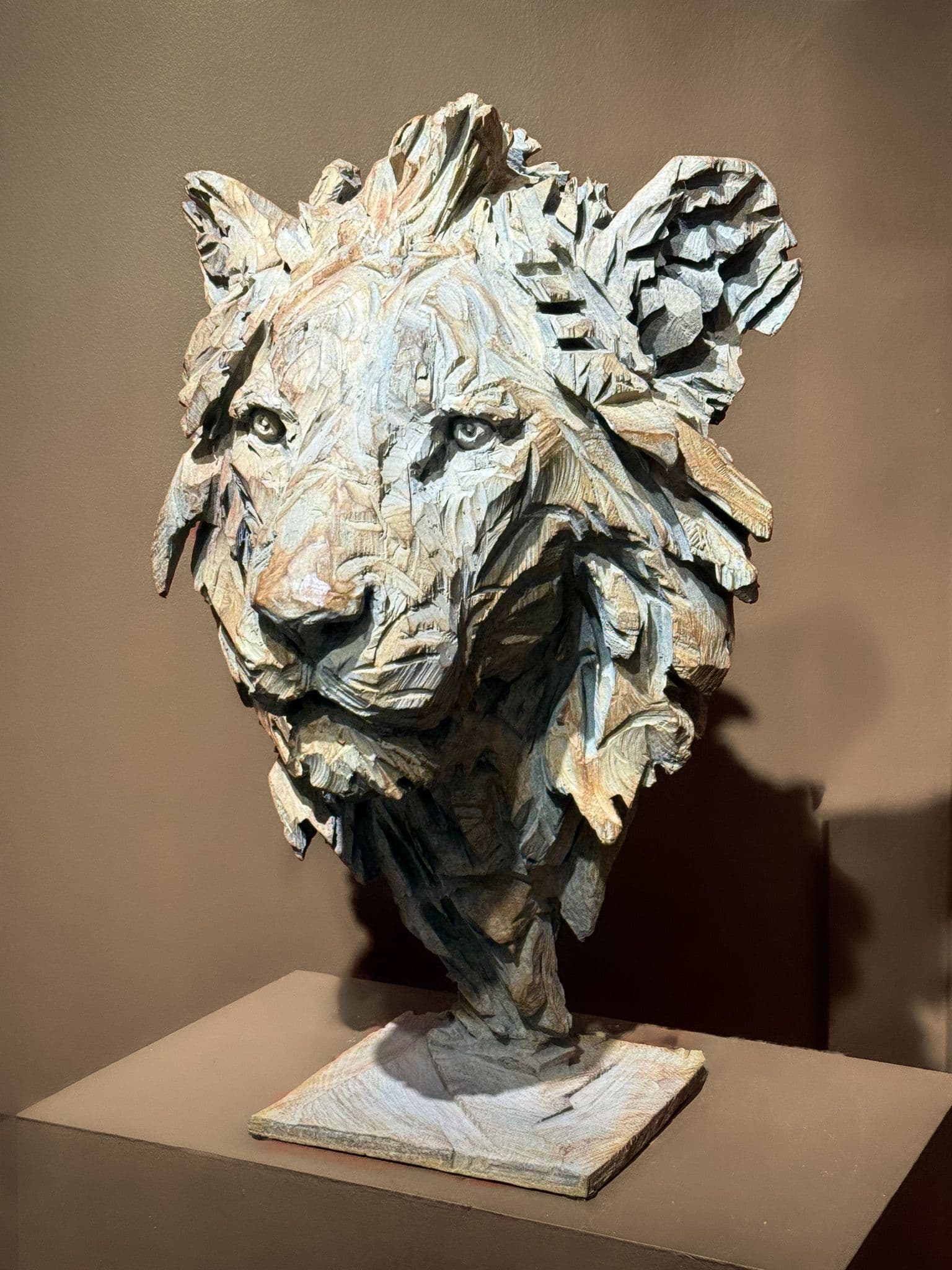 KIMBA - Jurgen Lingl