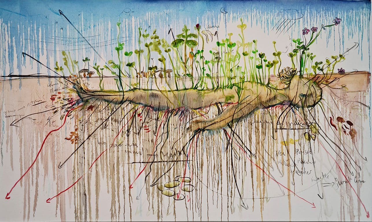 Actualité de la Galerie Ariel Jakob