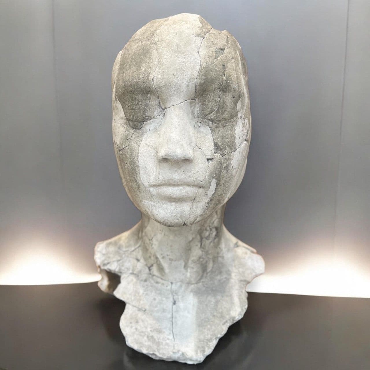 EXUVIA I - Tania Font